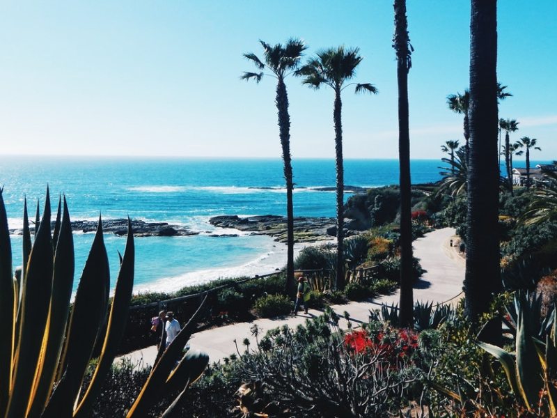 Things to Do in&nbsp;USA